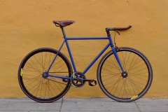 Matte Cobalt Valencia Matte Cobalt Valencia