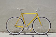 Yellow & White Valencia Yellow & White Valencia